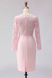 Vestido midi de madre de la novia, vestido midi de madre de novia rosa con aplique y cuello de funda