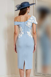 Vestido de Madre de la Novia con Apliques de Un Hombro Azul Claro