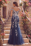 Vestido largo largo de baile de tul de sirena de hombro frío con hombros fríos y apliquetes