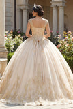 Vestido de baile de Quinceañera con escote en V con aplicación de champán