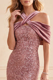 Rosa del Desierto Sirena Cabestro Lentejuelas Terciopelo Vestido Formal Largo