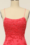 Coral Backless Vestido largo de fiesta con apliques