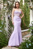 Escote Corazón Sirena Vestido de Graduación Con Apliques Púrpura