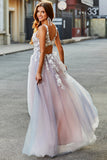 Gris Rosa A Línea Un Vestido Largo De Fiesta Con Escote En V Profundo Con Apliques