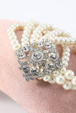 Champagne 1920s Accesorios Five Pieces Sets
